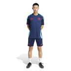 Camisa Adidas Flamengo 25/26 Treino II