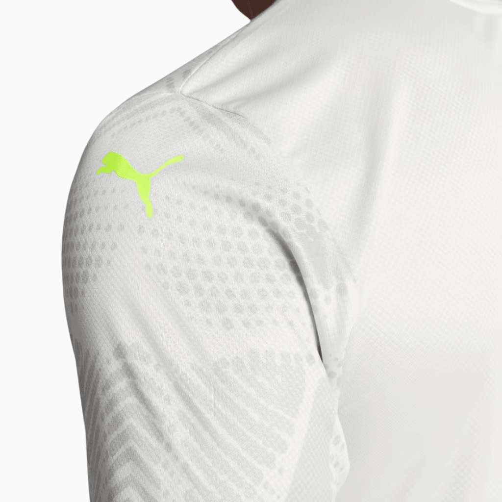 Camisa Puma Palmeiras 2025/26 Goleiro III Jogador