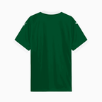 Camisa Puma Palmeiras 2025/26 I Torcedor