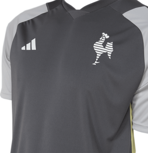 Camisa Adidas Atlético Mineiro Treino Comissão 24/25